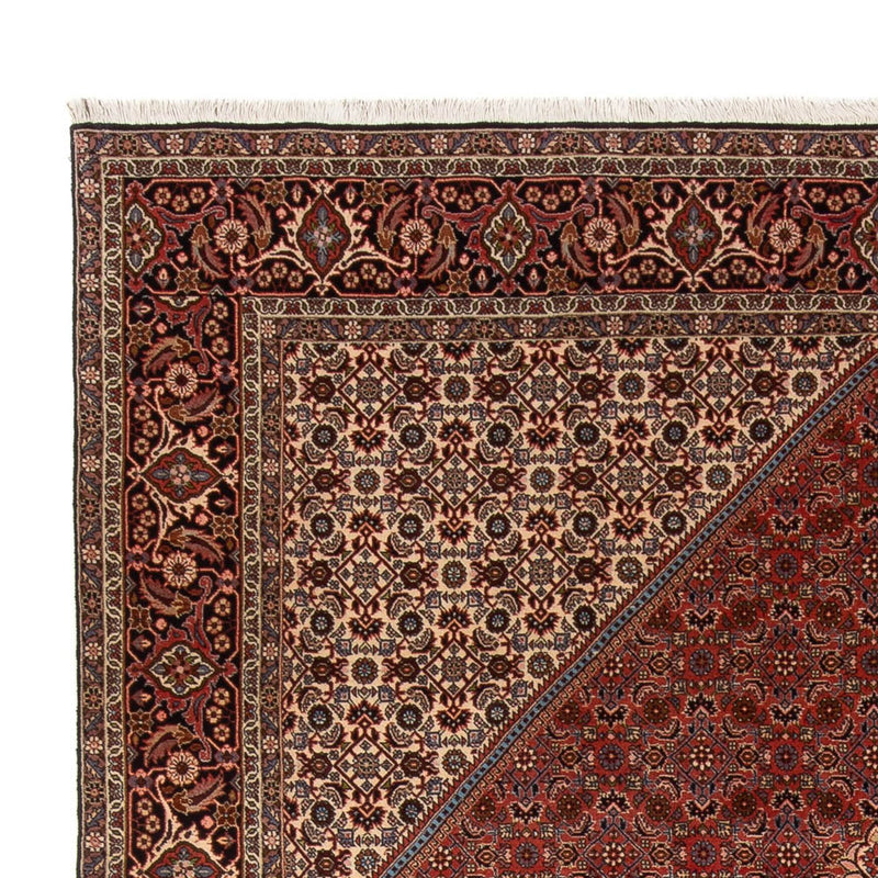 Bidjar - Bukan Teppe 344x250cm - Persisk teppe