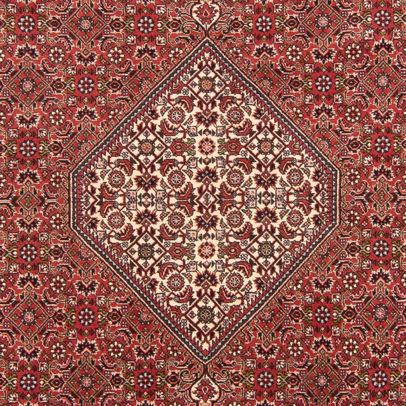 Bidjar - Bukan Teppe 202x290cm - Persisk teppe
