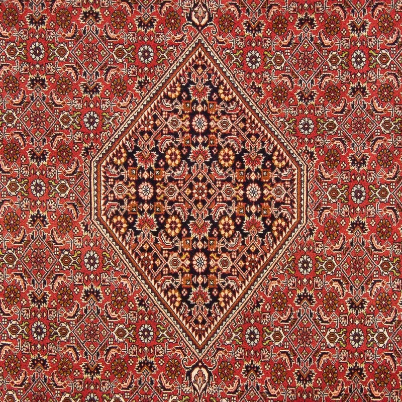 Bidjar - Bukan Teppe 290x200cm - Persisk teppe