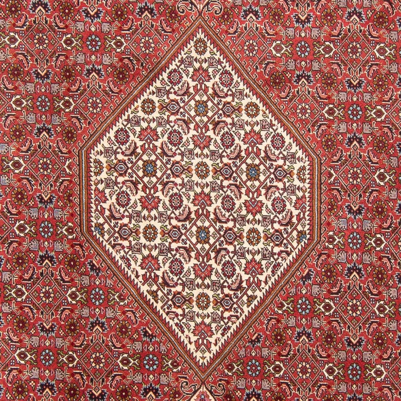 Bidjar - Bukan Teppe 310x203cm - Persisk teppe