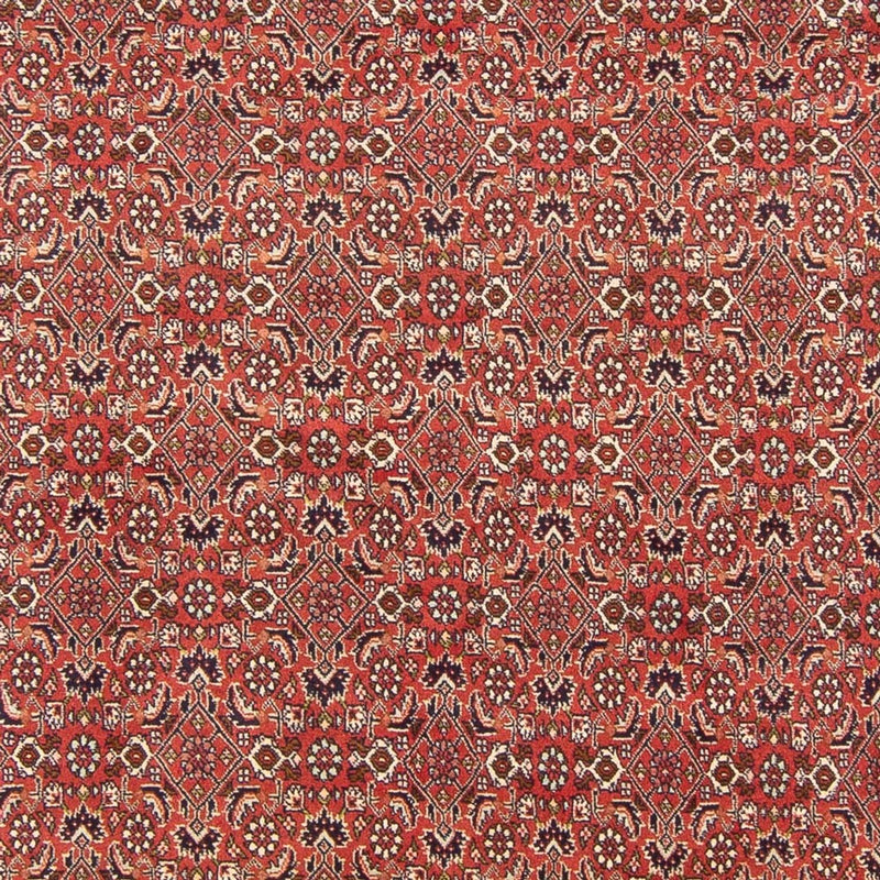 Bidjar - Bukan Teppe 305x200cm - Persisk teppe