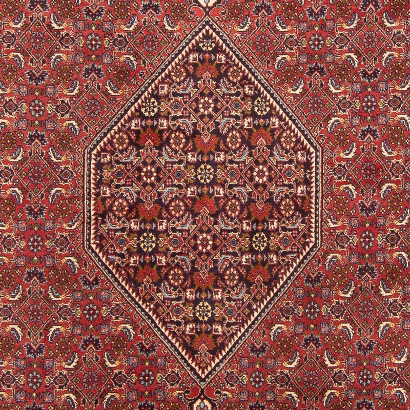 Bidjar - Bukan Teppe 301x200cm - Persisk teppe