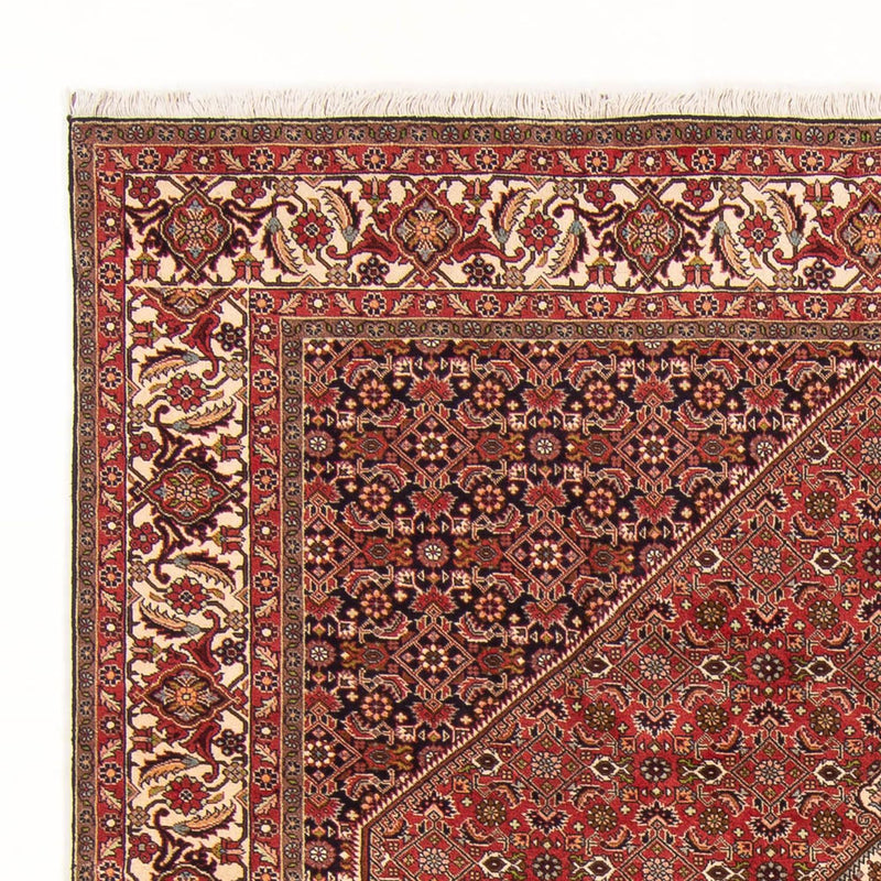 Bidjar - Bukan Teppe 260x200cm - Persisk teppe