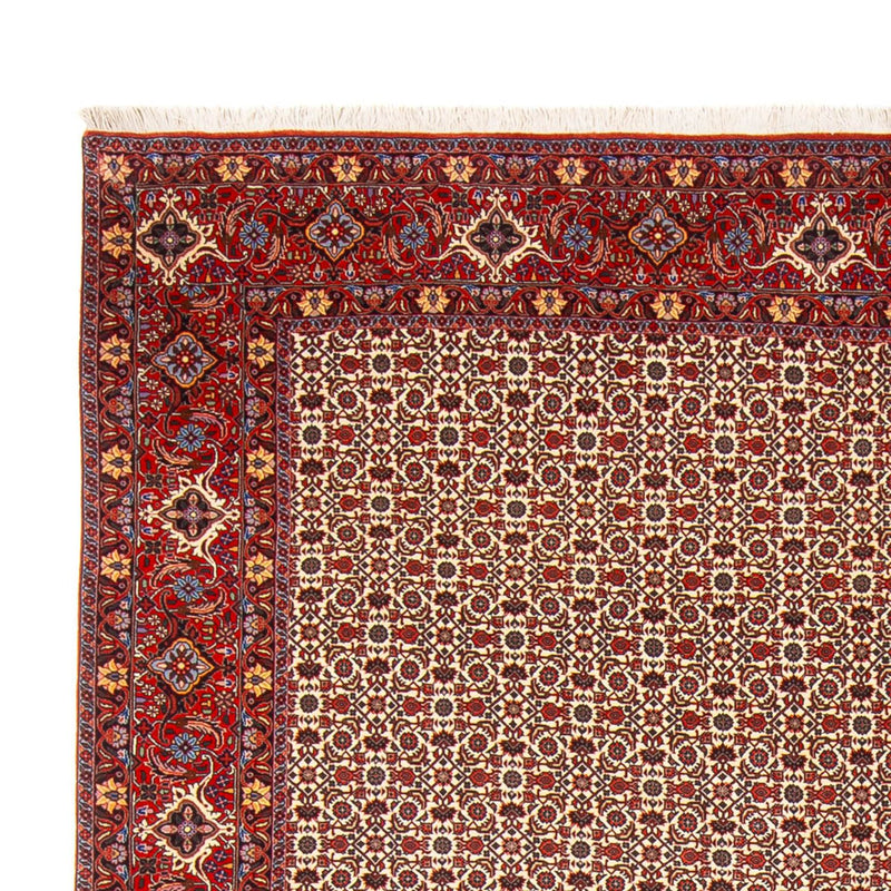 Bidjar - Bukan Teppe 343x260cm - Persisk teppe