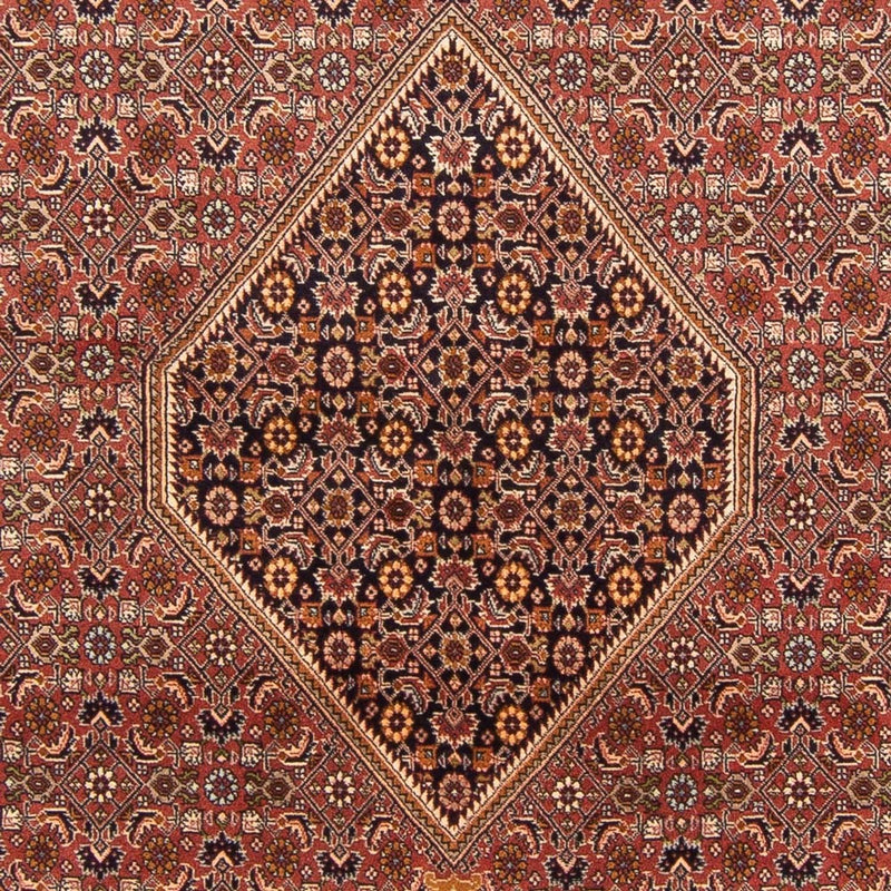 Bidjar - Bukan Teppe 300x197cm - Persisk teppe