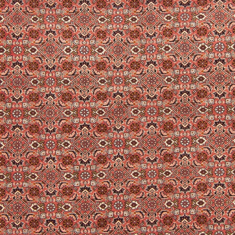 Bidjar - Bukan Teppe 288x202cm - Persisk teppe
