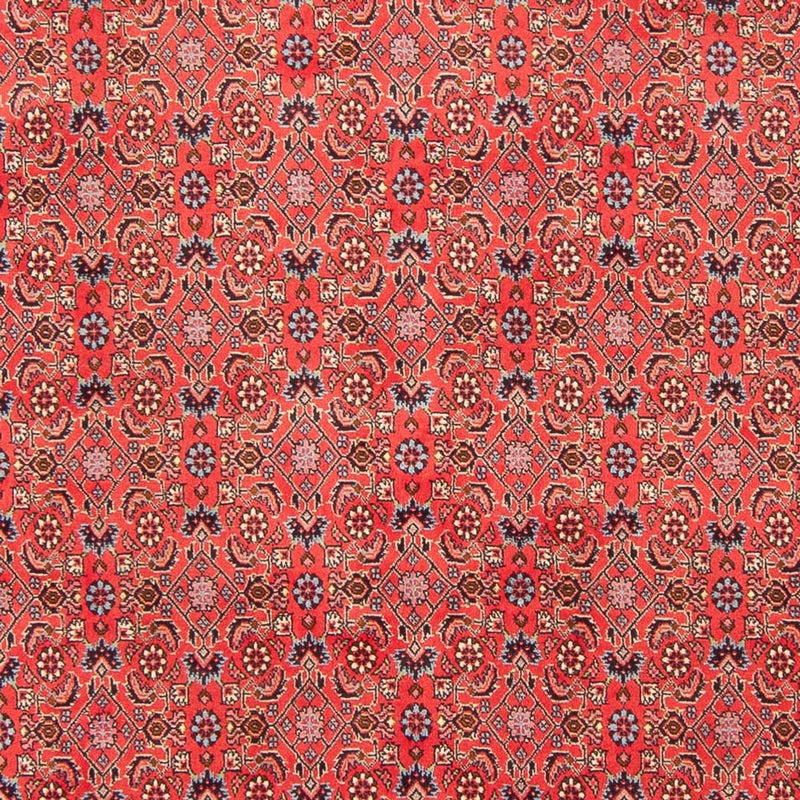 Bidjar - Bukan Teppe 294x200cm - Persisk teppe
