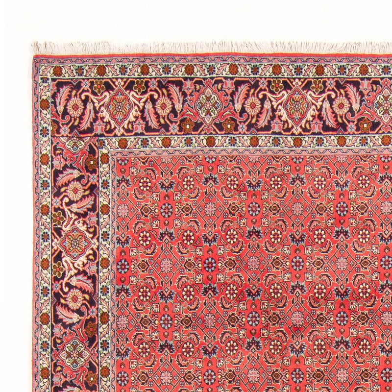 Bidjar - Bukan Teppe 294x200cm - Persisk teppe