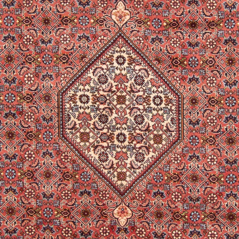 Bidjar - Bukan Teppe 290x204cm - Persisk teppe