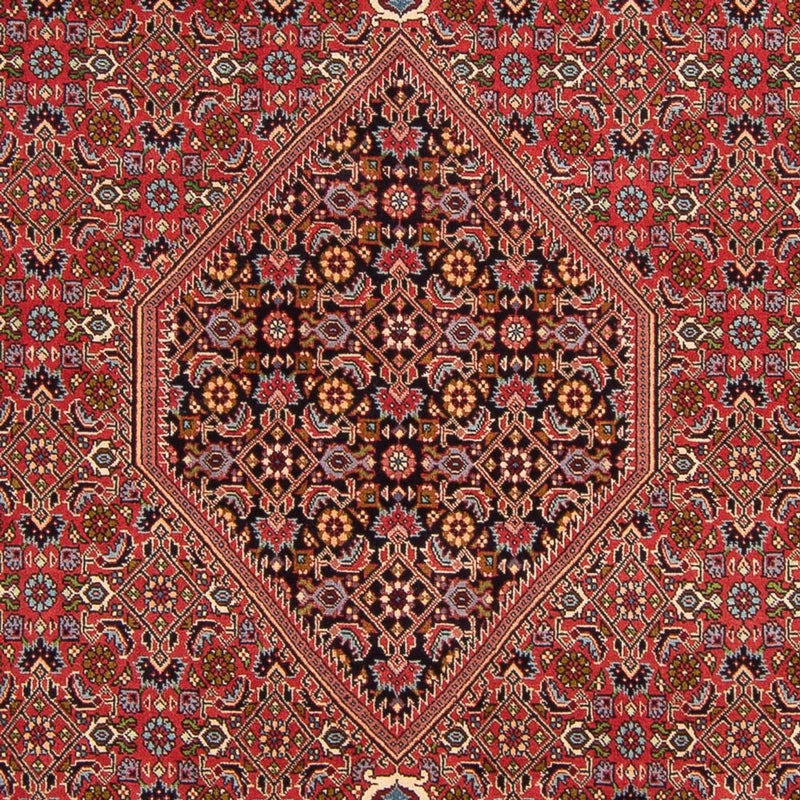 Bidjar - Bukan Teppe 307x200cm - Persisk teppe