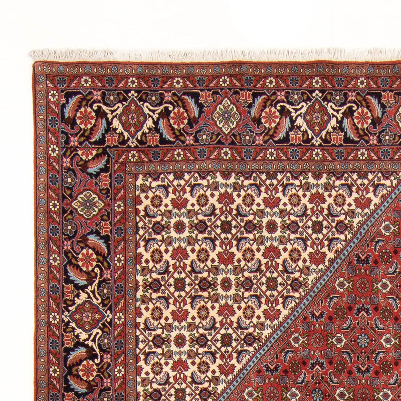 Bidjar - Bukan Teppe 310x200cm - Persisk teppe