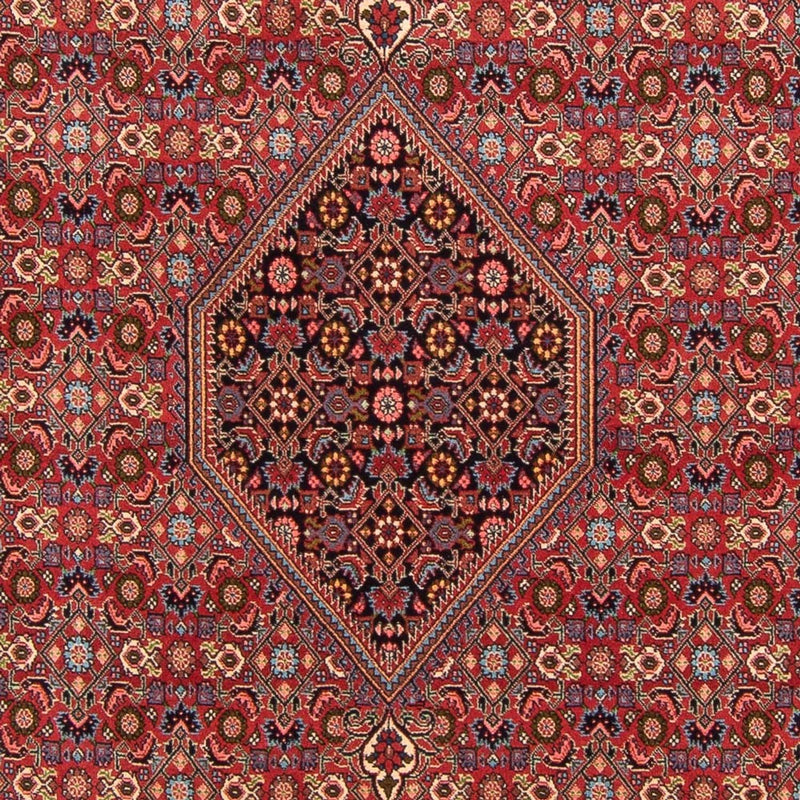 Bidjar - Bukan Teppe 302x199cm - Persisk teppe