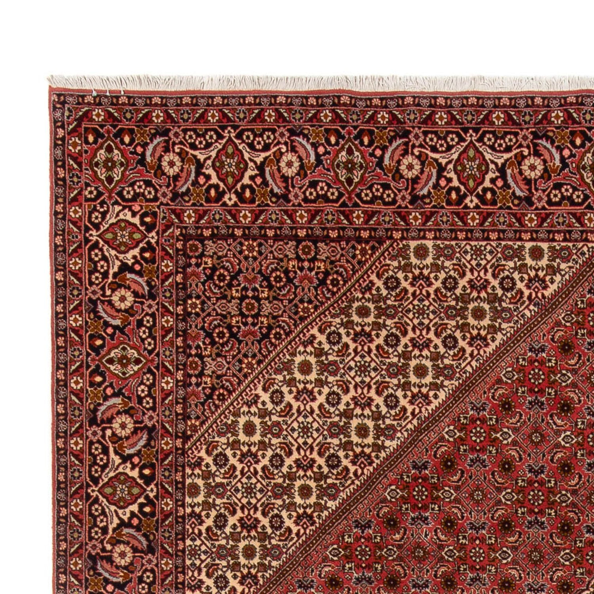 Bidjar - Bukan Teppe 250x350cm - Persisk teppe