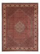 Bidjar - Bukan Teppe 340x250cm - Persisk teppe