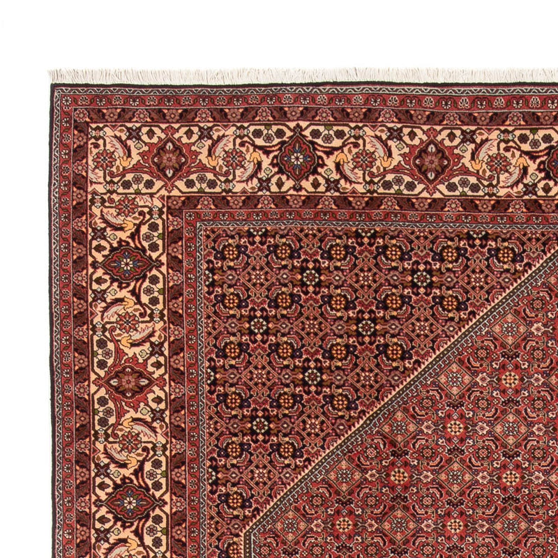 Bidjar - Bukan Teppe 340x250cm - Persisk teppe