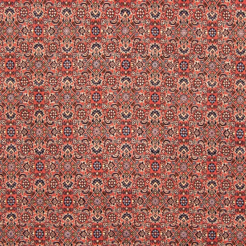 Bidjar - Bukan Teppe 298x196cm - Persisk teppe