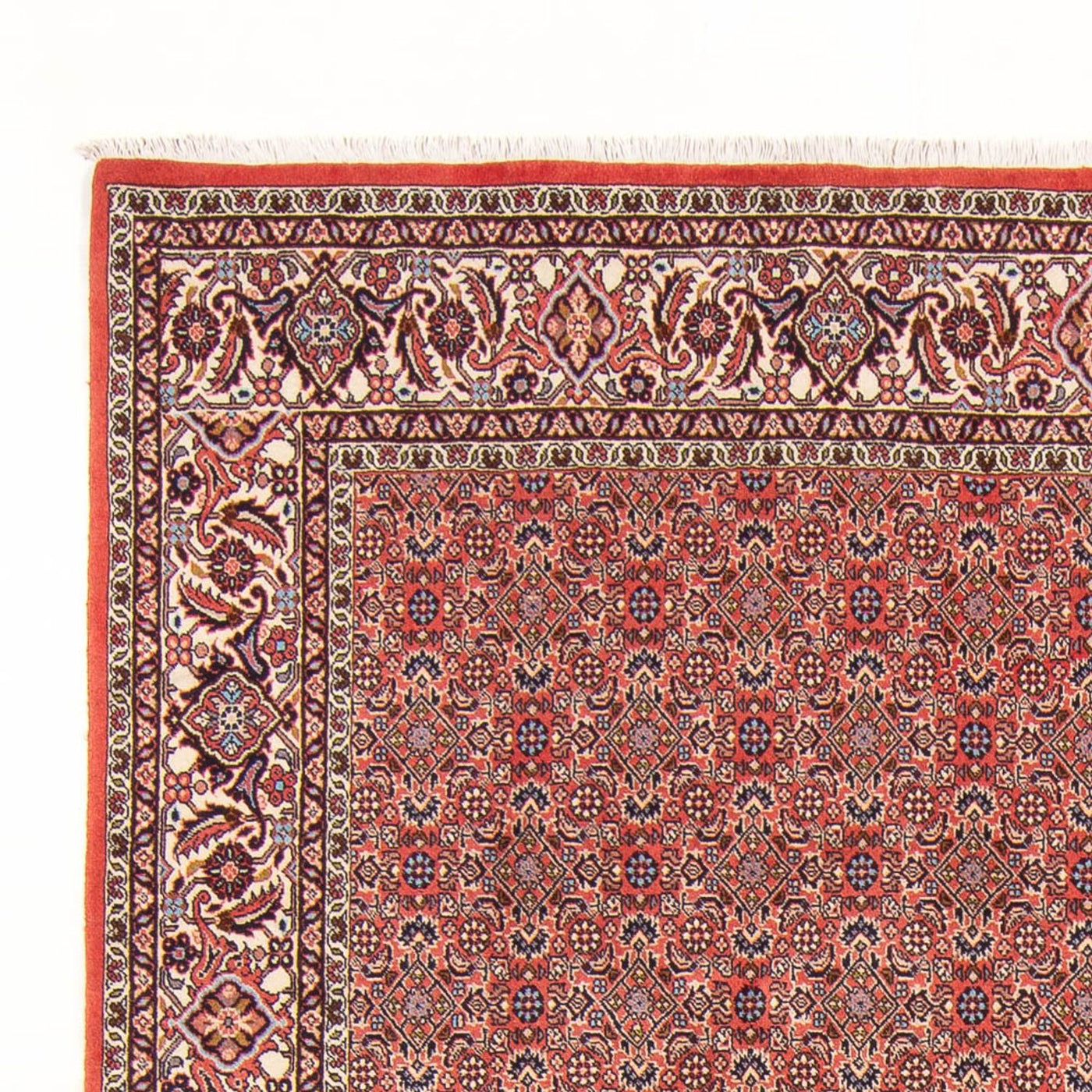 Bidjar - Bukan Teppe 298x196cm - Persisk teppe