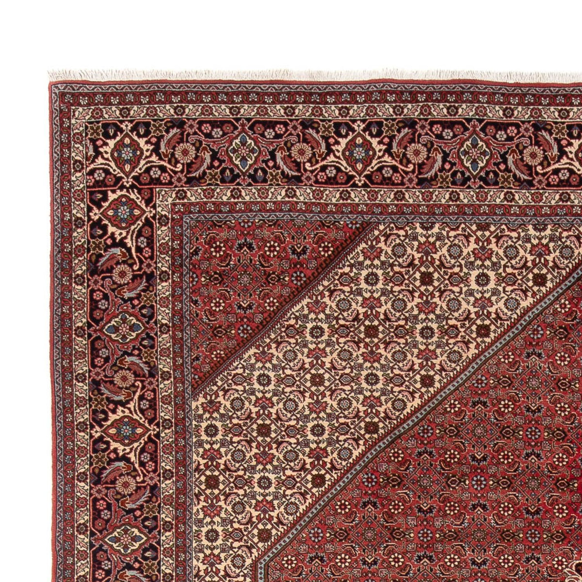 Bidjar - Bukan Teppe 250x348cm - Persisk teppe