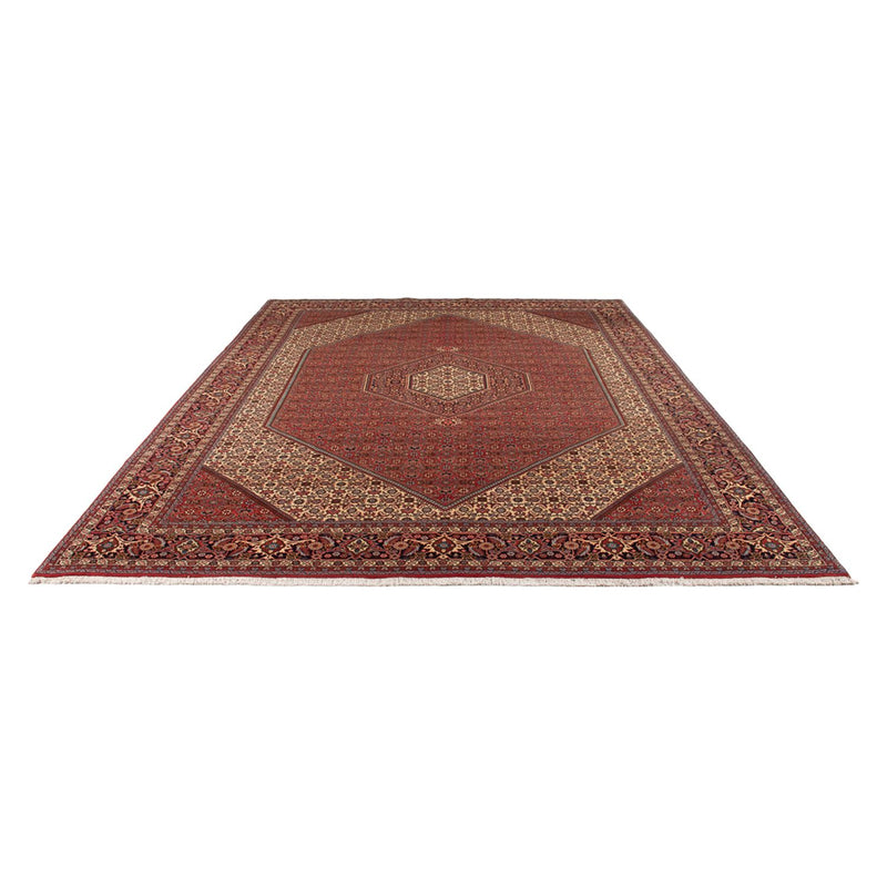 Bidjar - Bukan Teppe 250x348cm - Persisk teppe
