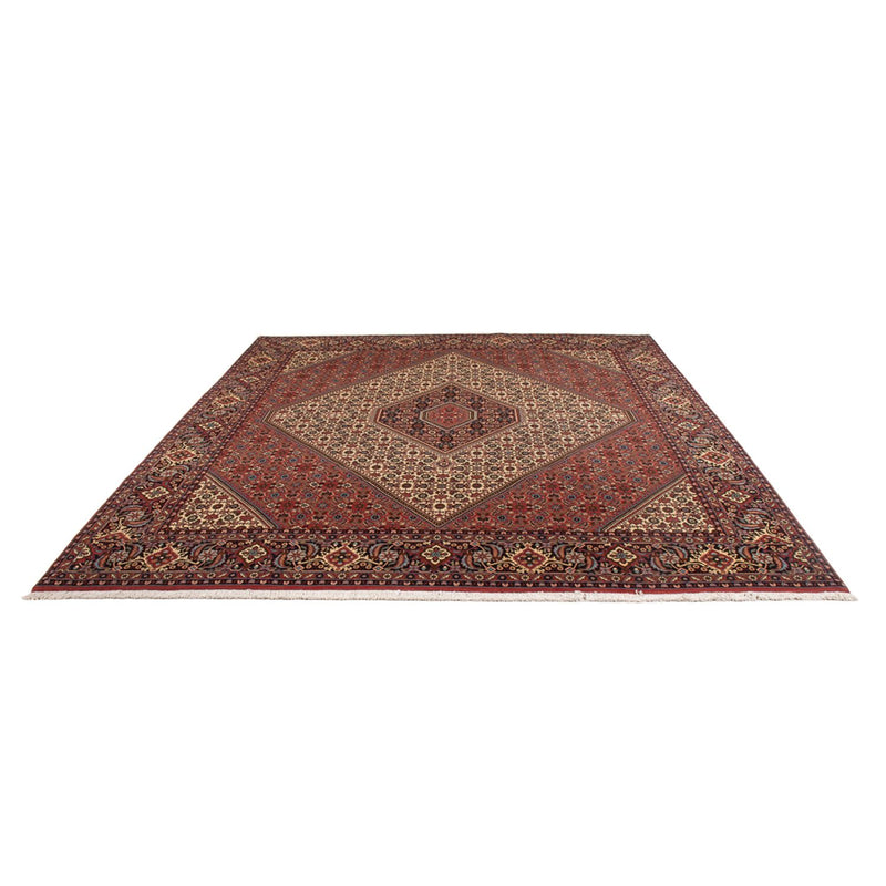 Bidjar - Bukan Teppe 296x252cm - Persisk teppe