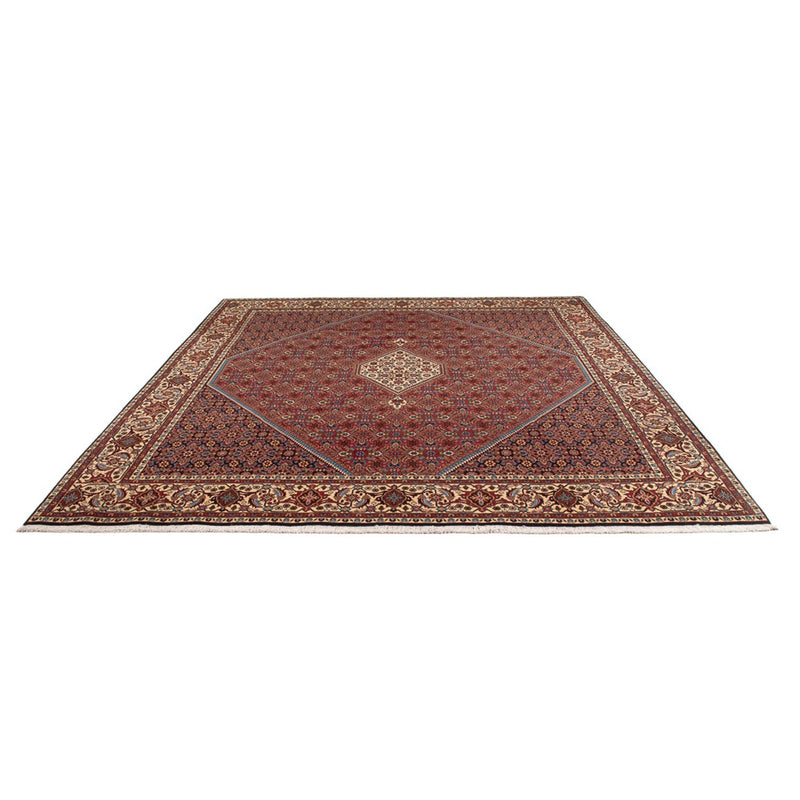 Bidjar - Bukan Teppe 294x253cm - Persisk teppe
