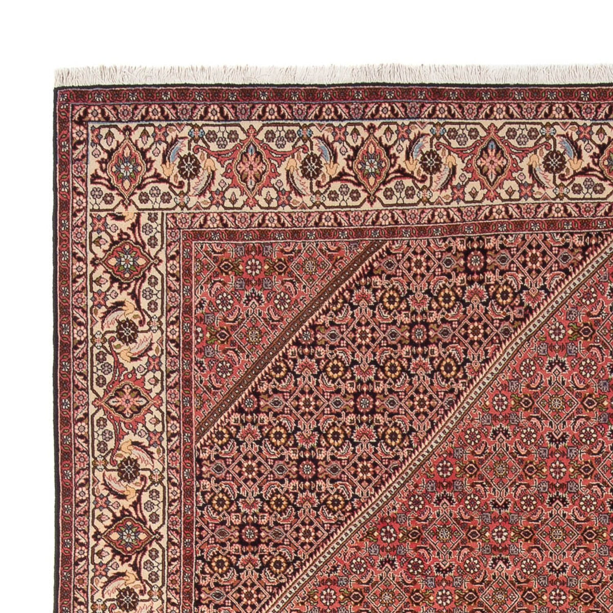 Bidjar - Bukan Teppe 250x342cm - Persisk teppe