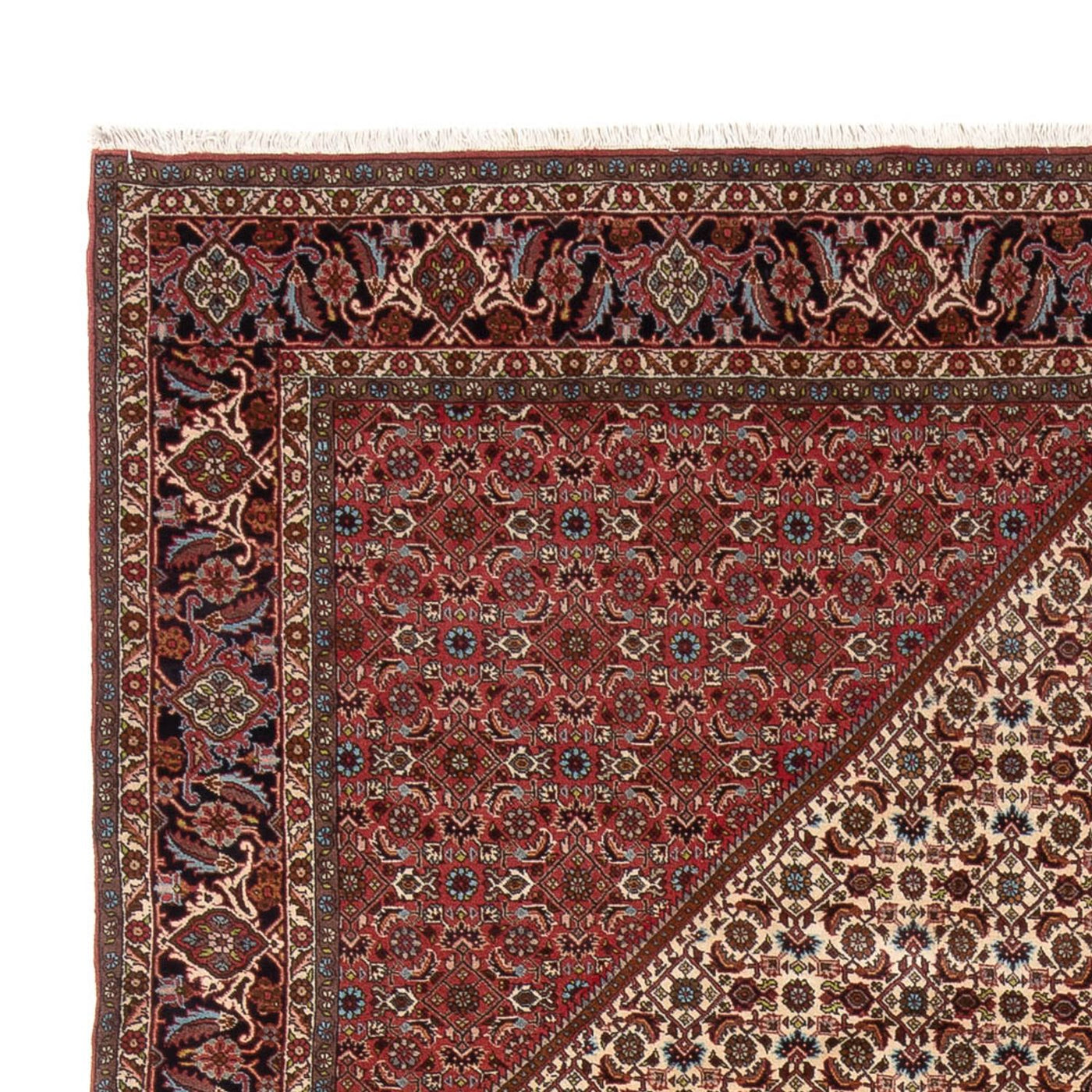 Bidjar - Bukan Teppe 336x251cm - Persisk teppe