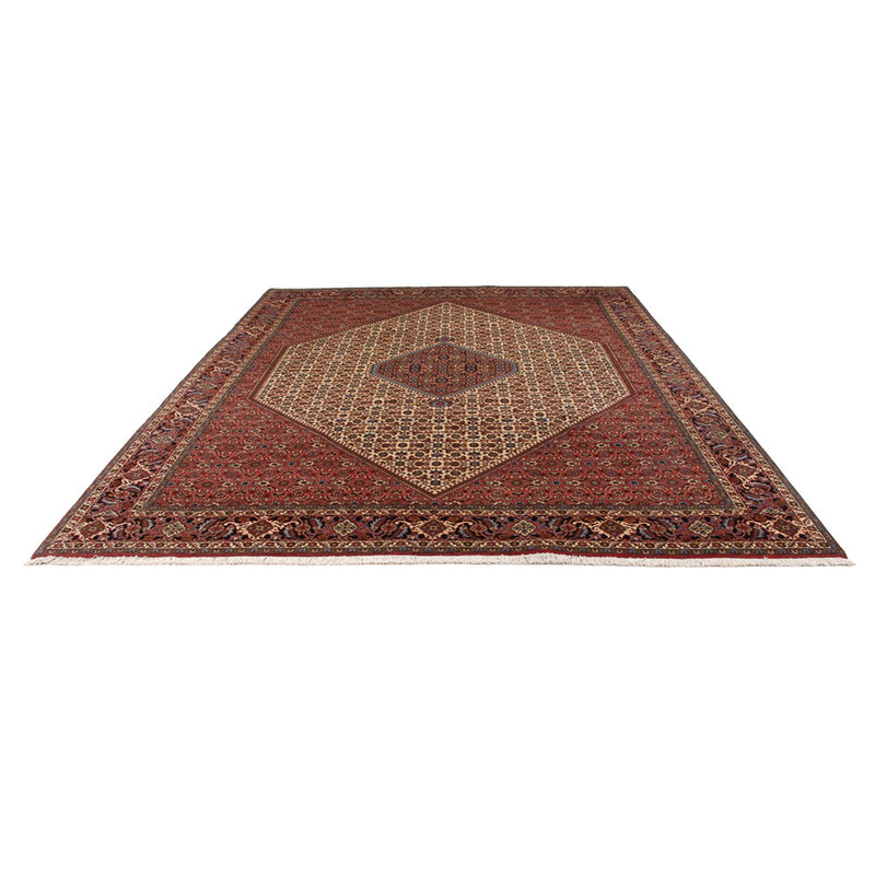 Bidjar - Bukan Teppe 336x251cm - Persisk teppe