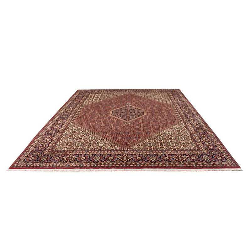Bidjar - Bukan Teppe 341x246cm - Persisk teppe