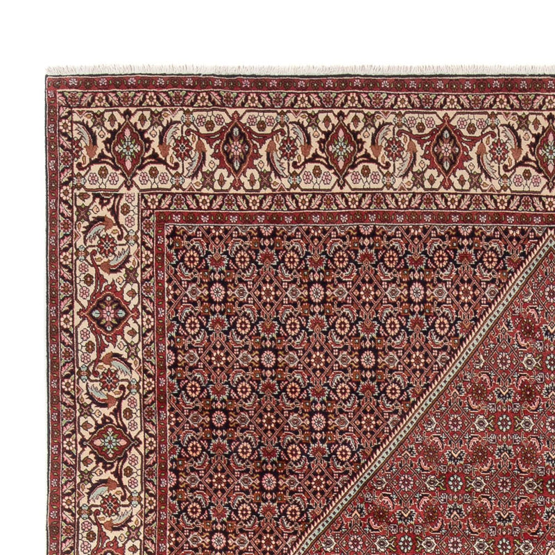 Bidjar - Bukan Teppe 343x250cm - Persisk teppe