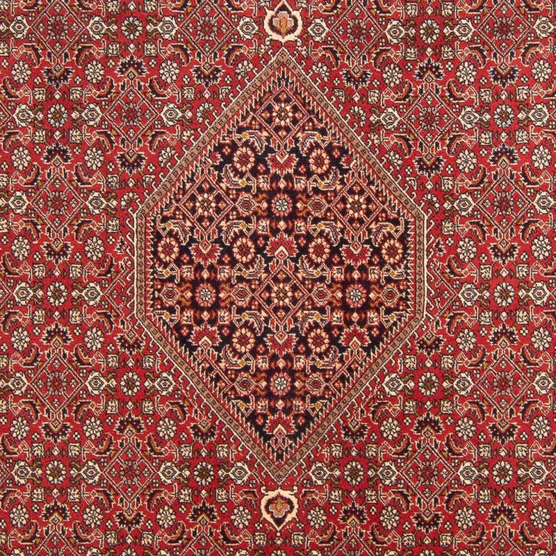 Bidjar - Bukan Teppe 298x203cm - Persisk teppe