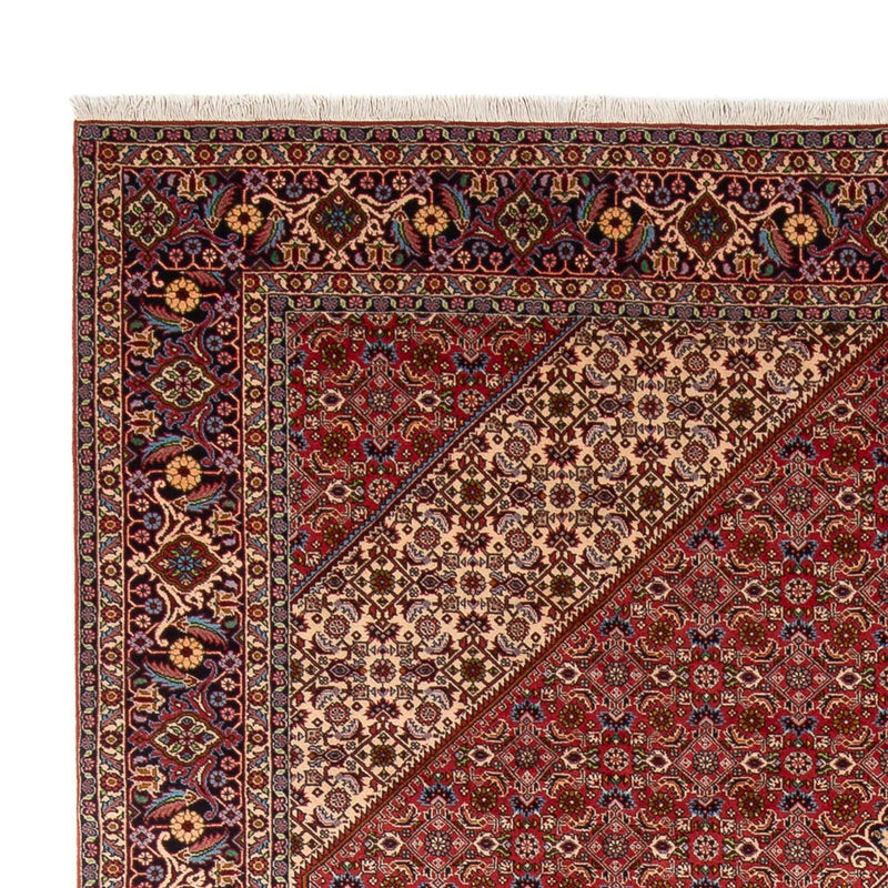 Bidjar - Bukan Teppe 249x339cm - Persisk teppe