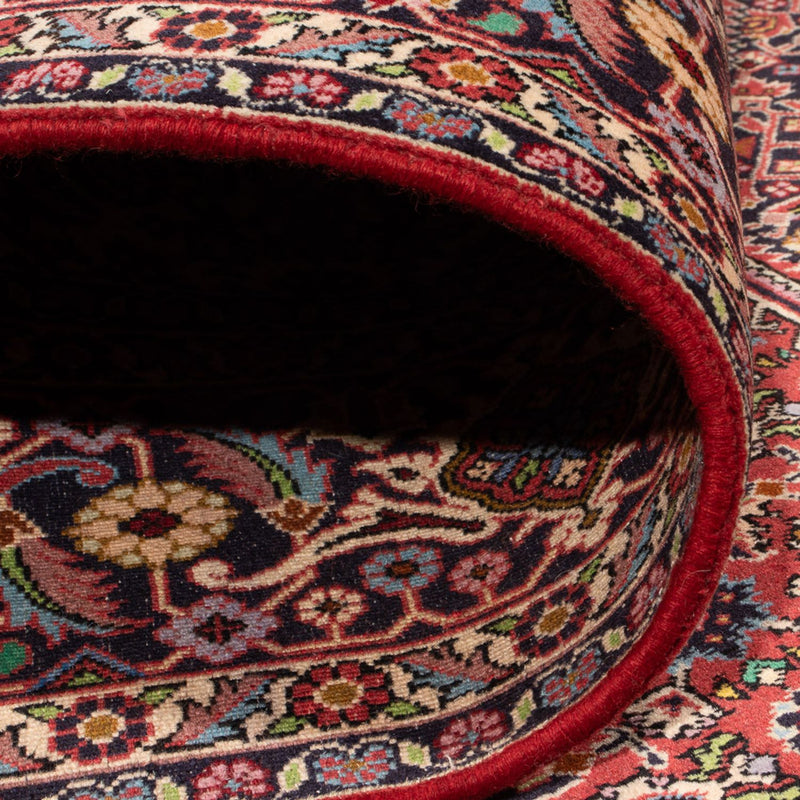 Bidjar - Bukan Teppe 249x339cm - Persisk teppe