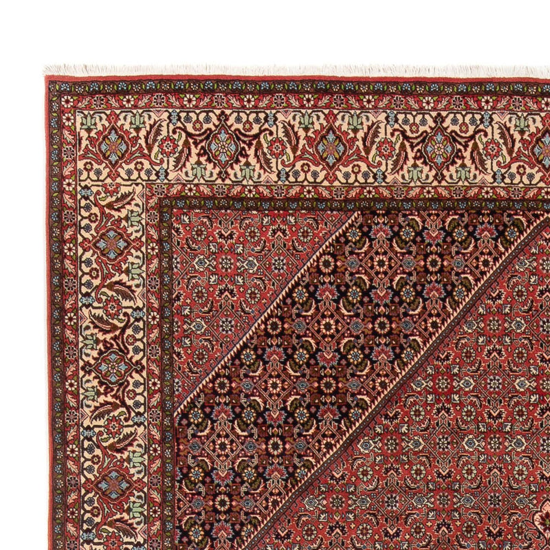 Bidjar - Bukan Teppe 334x248cm - Persisk teppe
