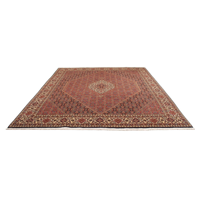 Bidjar - Bukan Teppe 299x244cm - Persisk teppe