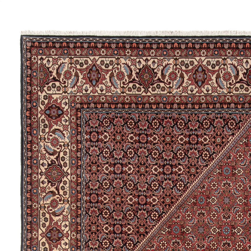 Bidjar - Bukan Teppe 247x350cm - Persisk teppe