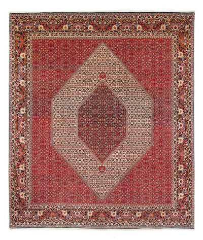 Bidjar - Takab Teppe 253x300cm - Persisk teppe