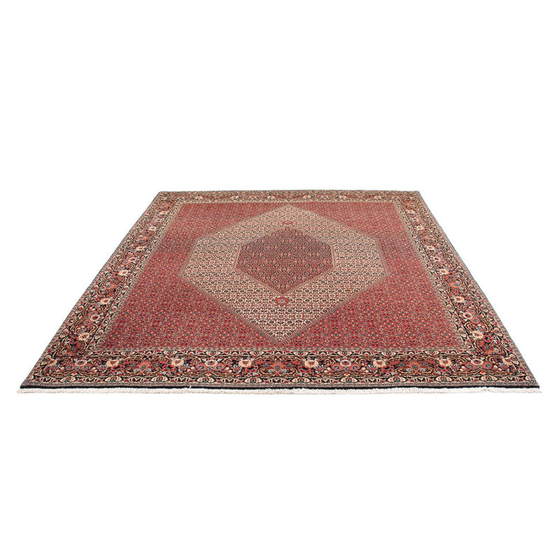 Persisk teppe - Bijar - Royal - 300 x 253 cm - krem
