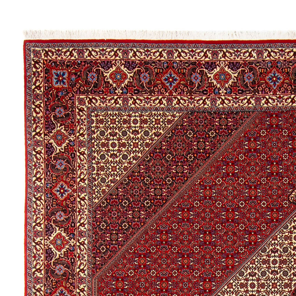 Bidjar - Takab Teppe 253x301cm - Persisk teppe