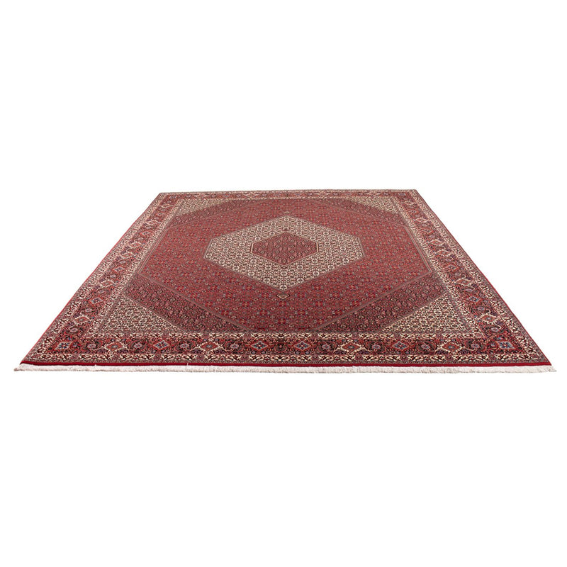 Bidjar - Takab Teppe 253x301cm - Persisk teppe
