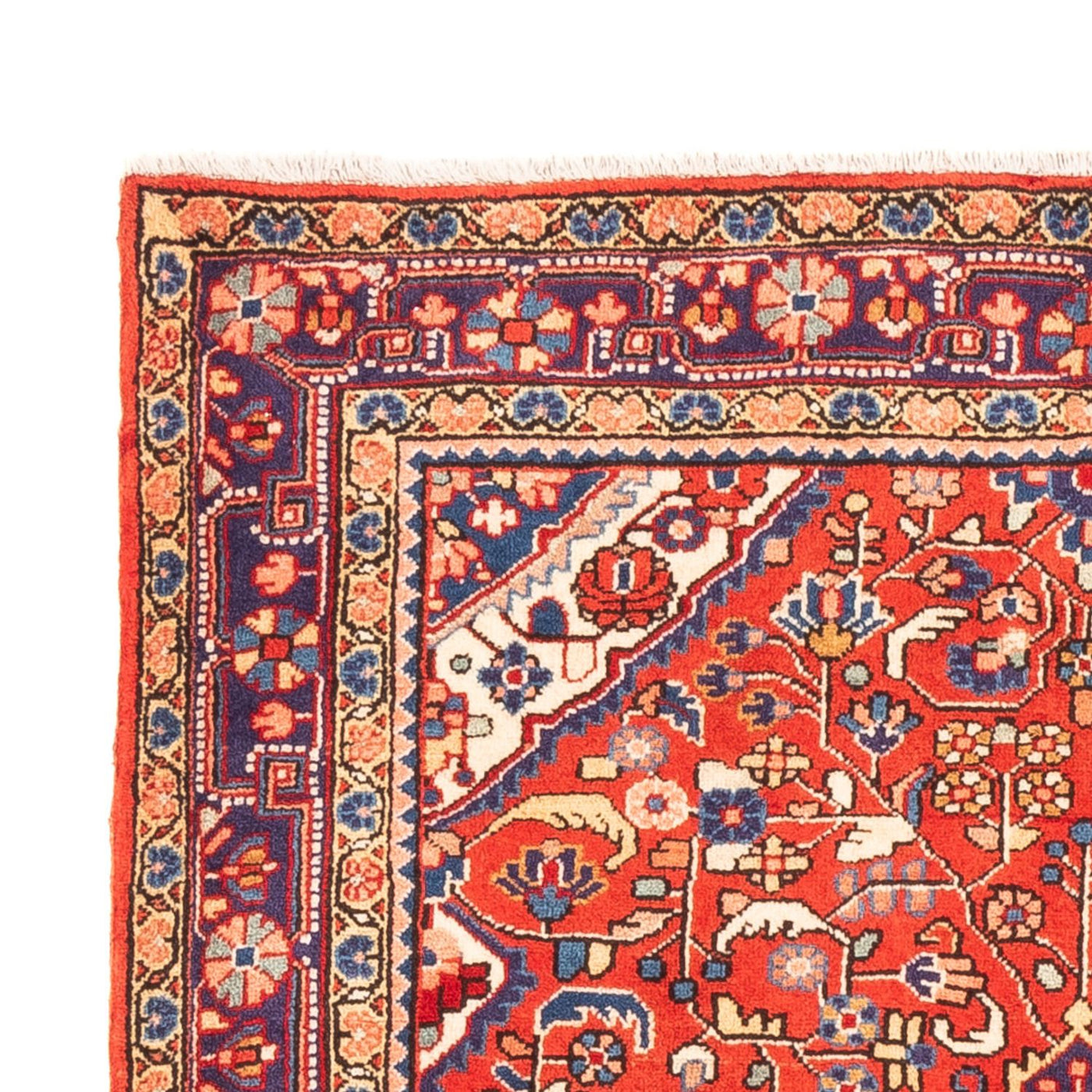 Jozan Teppe 160x108cm - Persisk teppe