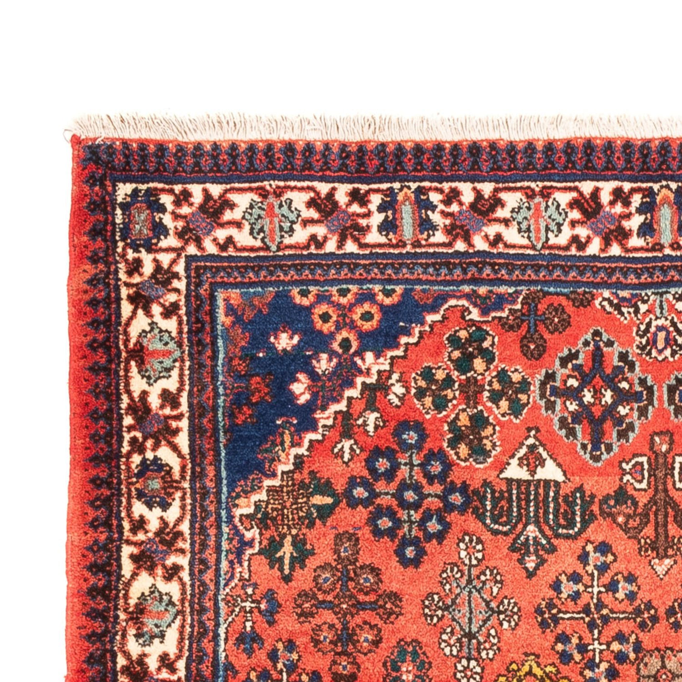 Meymeh Teppe 171x110cm - Persisk teppe
