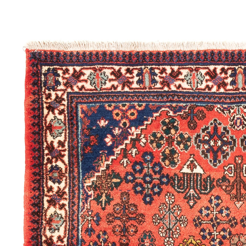 Meymeh Teppe 171x110cm - Persisk teppe
