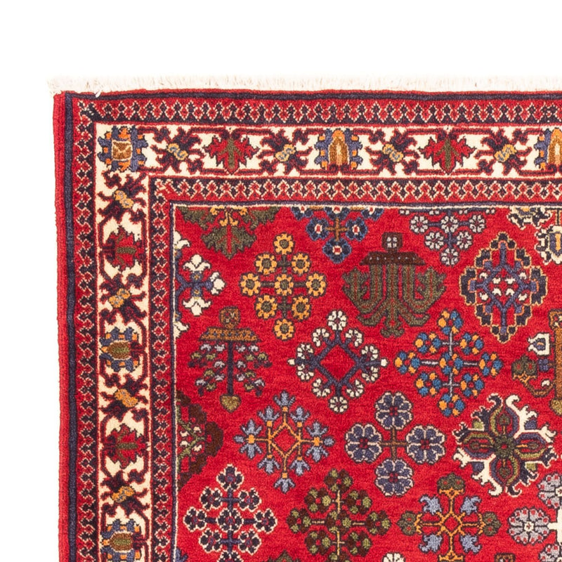 Meymeh Teppe 168x110cm - Persisk teppe