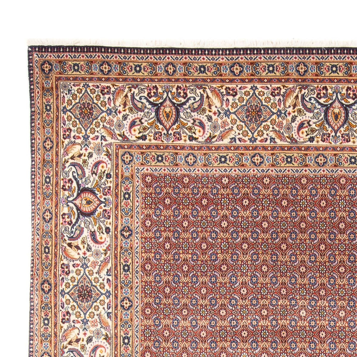 Moud Teppe 243x294cm - Persisk teppe