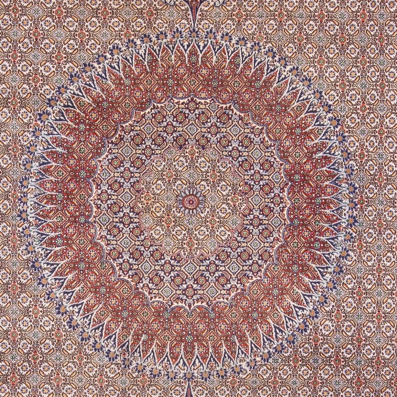 Moud Teppe 388x293cm - Persisk teppe