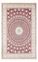 Nain - 6 la Teppe 297x196cm - Persisk teppe