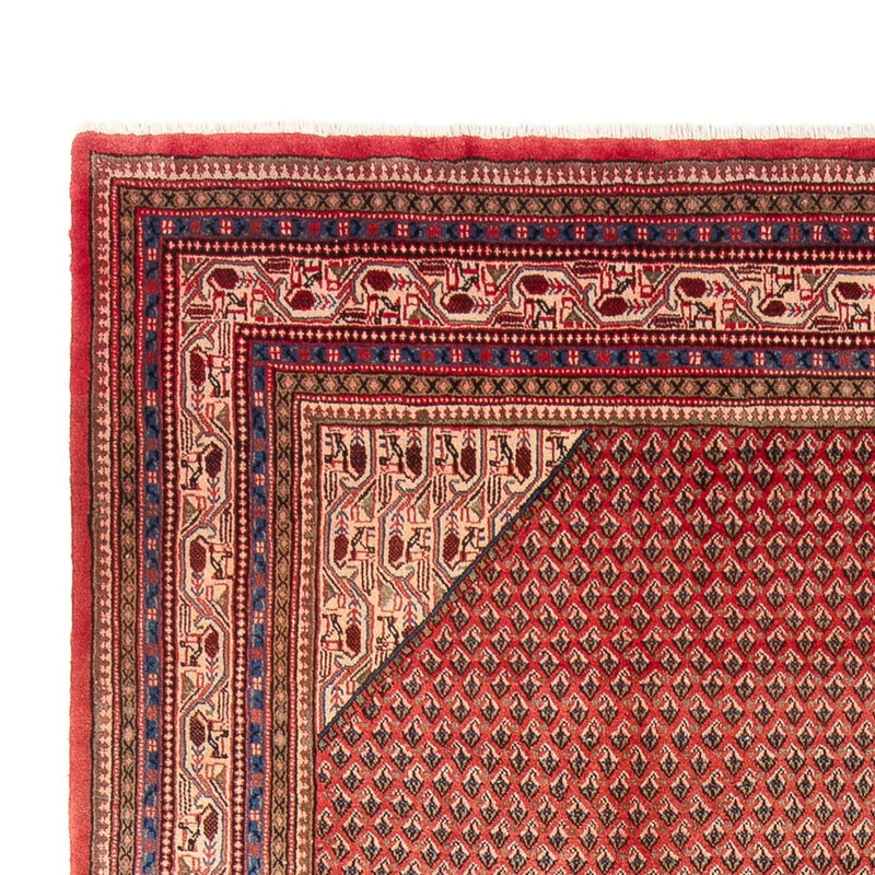 Sarouk Teppe 258x365cm - Persisk teppe