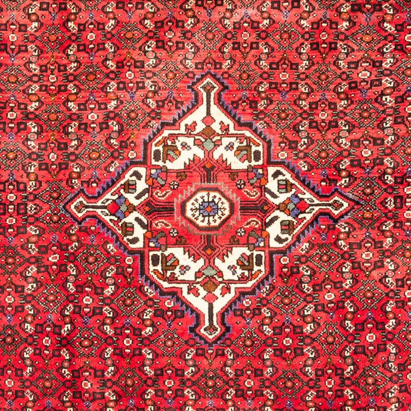 Hamadan Teppe 318x205cm - Persisk teppe