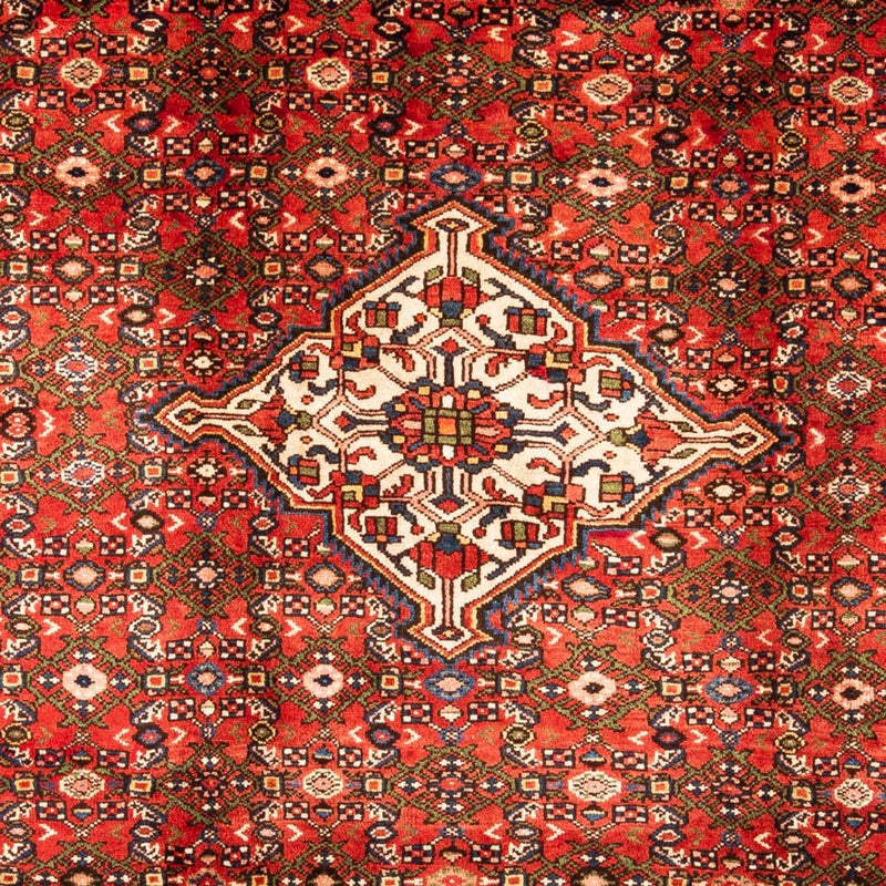 Hamadan Teppe 310x218cm - Persisk teppe